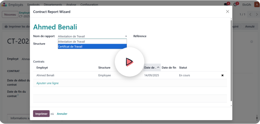 Aperçu de la démo Odoo